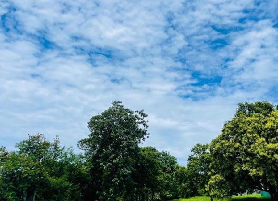 Lot in ANVAYA For Sale