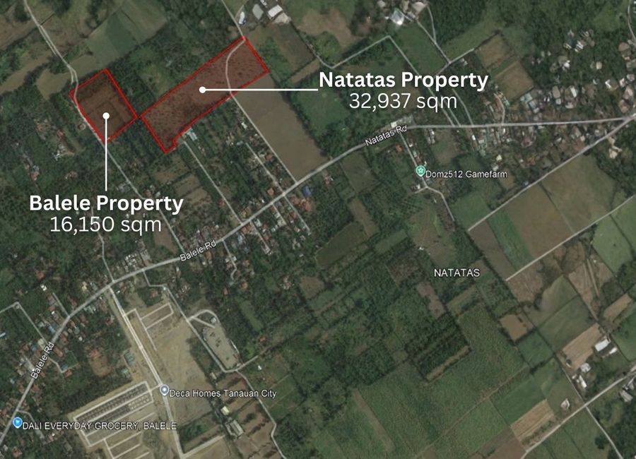 For Sale: Agricultural Property in Natatas-Balele, Tanauan, Batangas