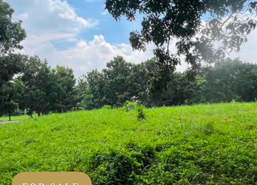 20 VACANT LOTS AVAILABLE IN MANILA SOUTHWOODS