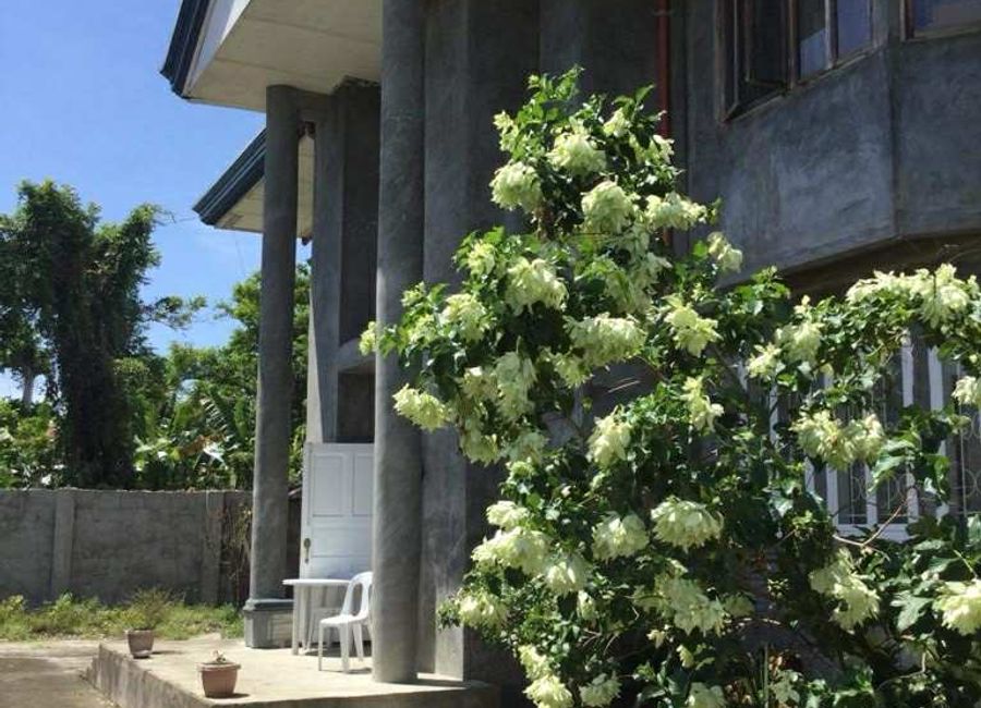 Lot:800 sqm. 2 Storey house. (Reinforced concrete)