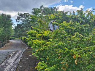 Residential Lot with View of the West Philippine Sea Located on the Top most Elevation of the Village