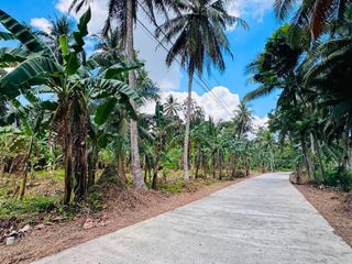 500SQM TITLED PRE SELLING LOT FOR SALE in POLA, ORIENTAL MINDORO, ALONG CEMENTED ROAD, near the BEACH, and Town Proper