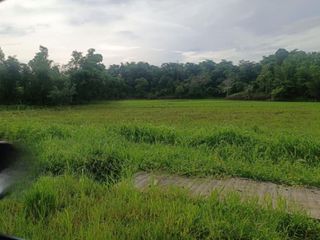 For Sale! 17, 867 SQM Agricultural Lot in Sigma, Capiz