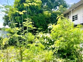 900sqm Commercial Lot for Rent in Fairvew, Quezon City