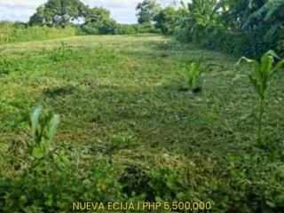 Residential and Farm Lot for Sale in Nueva Ecija