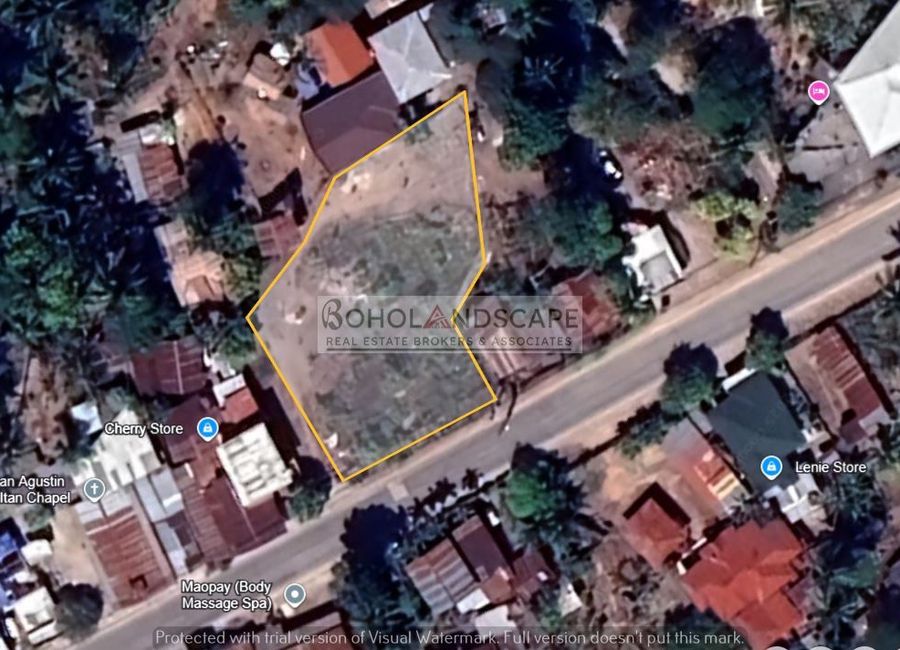 Commercial Lot for Sale located in Panglao Island, Bohol