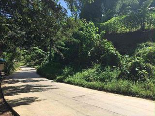 1.5 Hectares lot for sale in Cebu city