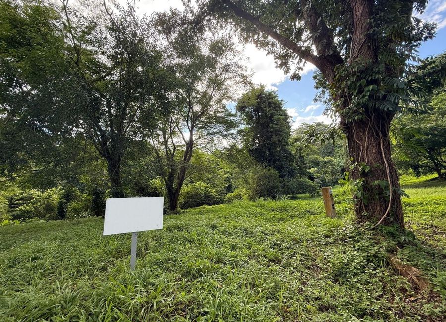 Canyon Woods Residential Resort | Residential Lot For Sale- #9219