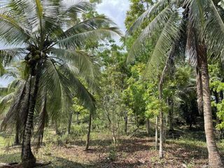 FOR SALE - Farm Lot in Rosario, Batangas