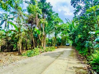 TITLED RESI FARM FOR SALE IN ALFONSO CAVITE, up to 3 YEARS TO PAY, NO INTEREST. NEWLY OPENED!
