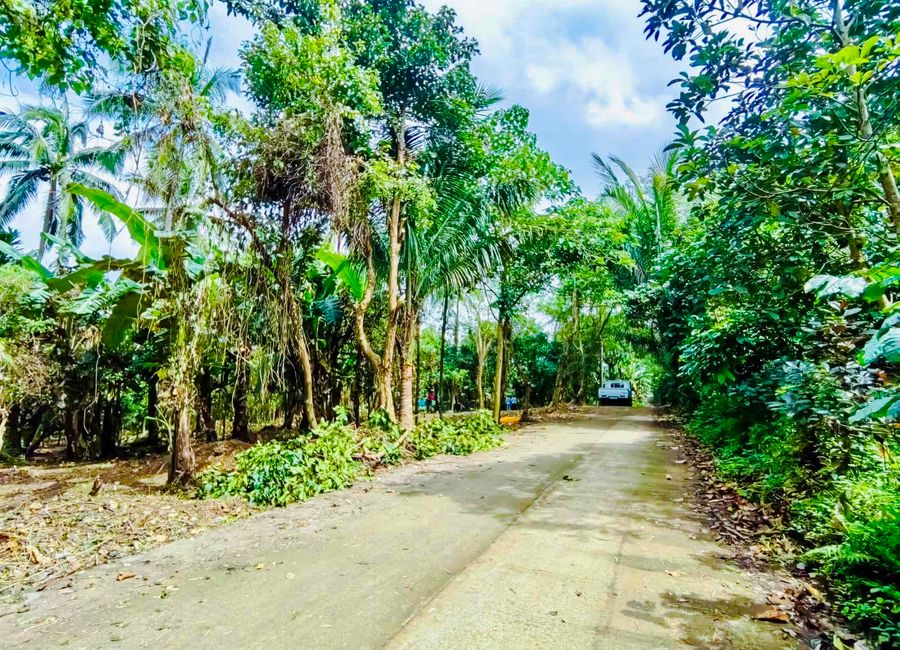 TITLED RESI FARM FOR SALE IN ALFONSO CAVITE, up to 3 YEARS TO PAY, NO INTEREST. NEWLY OPENED!