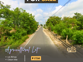 FOR SALE: Agricultural Land in Dolores Magalang, Pampanga
