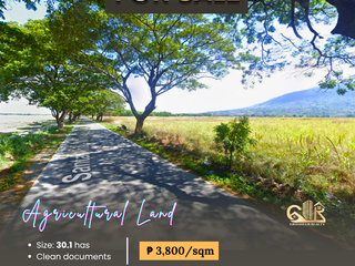 For Sale: Agricultural Land located at San Roque, Arayat (Magalang Road) Pampanga