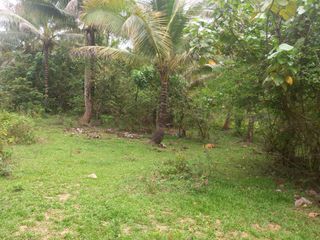 10 hectares Lot for Sale at Del Gallego Camarines Sur Bicol