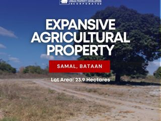 Expansive Agricultural Lot for Sale in Samal, Bataan