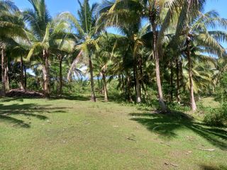 Farm Lot for Sale at Ragay Camarines Sur Bicol 5 hectares