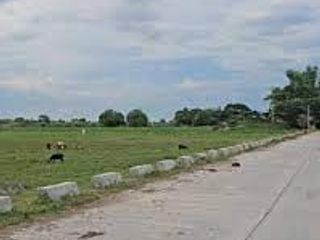 Agricultural Lot 200 hectares Good for Commercial for Sale in La Paz Tarlac