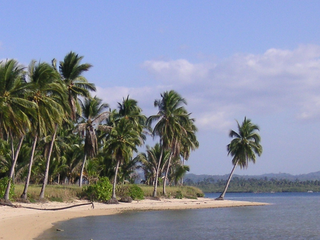 Double Island, Quezon, Palawan (titled, RUSH SALE)