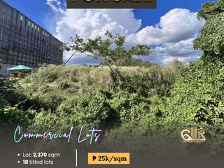 For Sale: Prime Commercial Lots located in Batangas City