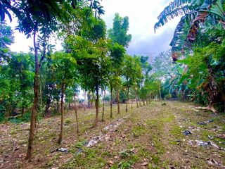 FARMLOT