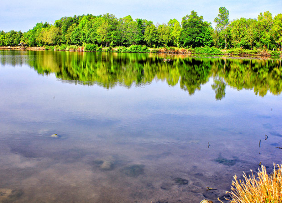 🏞️ Payao Zamboanga Sibugay 139-Hectare Titled Fish Farm for Sale ...