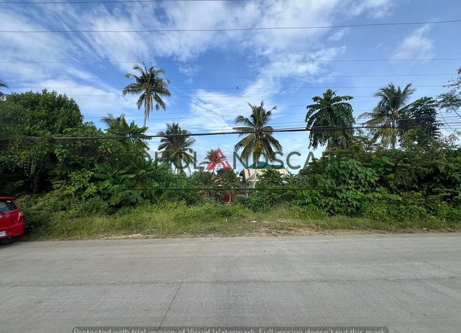 Residential Lot for Sale located in Tip-tip, Tagbilaran City, Bohol