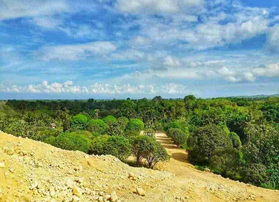 For Sale Farmlot Subdivision in Balamban Cebu For RestHouse or AirBNb, 4 lots Left from 79Lots 1,000sqm Each Cash or 50% or 20% DP Balance 3yrs