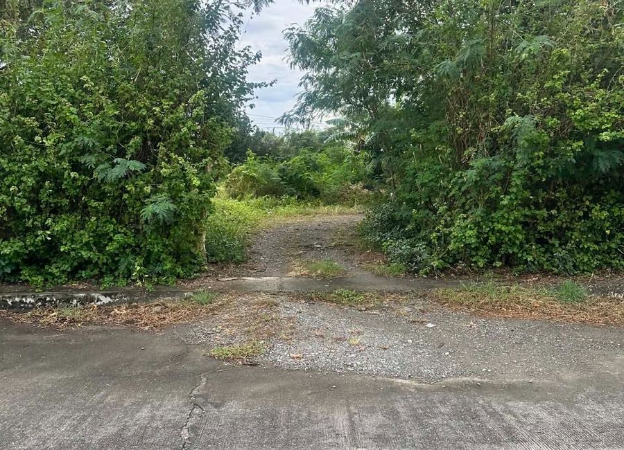 204sqm lot for sale at Lakewood, Cabanatuan City