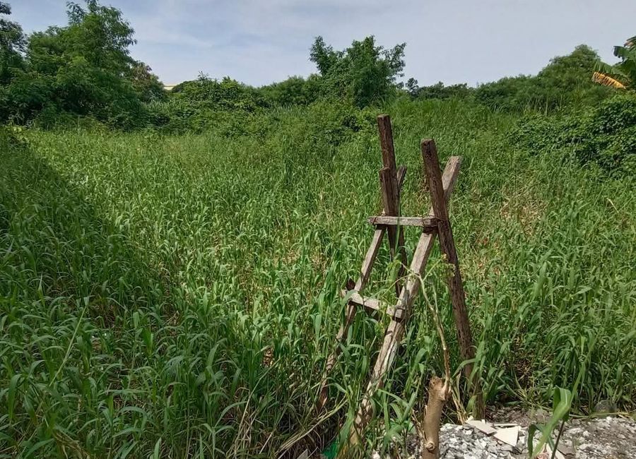 FOR SALE RESIDENTIAL LOT IN MARILAO BULACAN