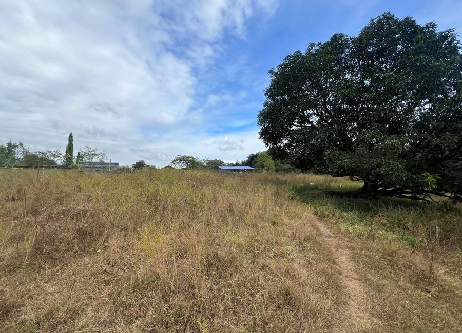 FOR SALE FARM LOT IDEAL FOR RESORT OR RETIREMENT HOUSE IN PORAC PAMPANGA