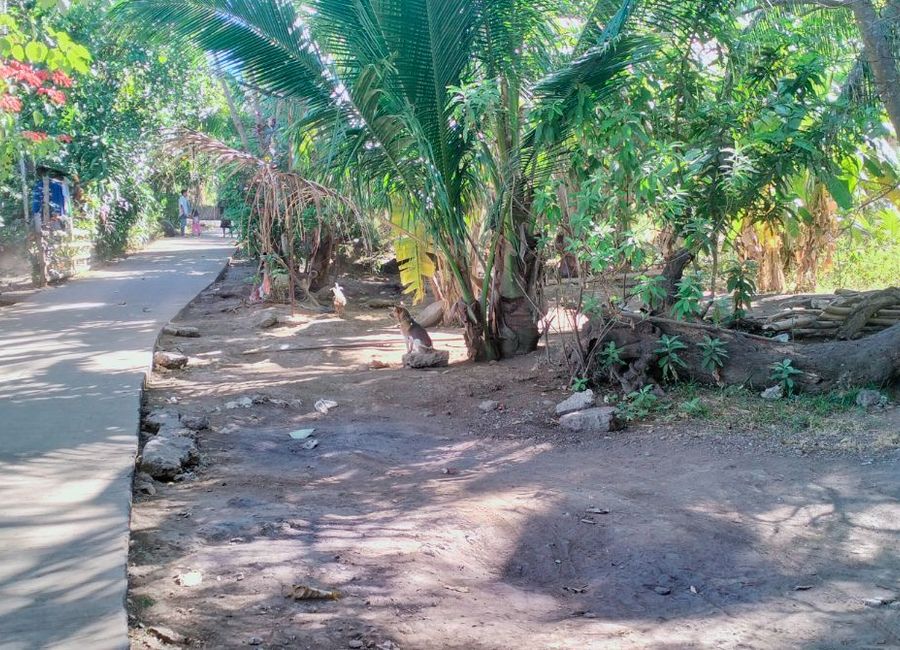 Farm Lot suitable for camp site