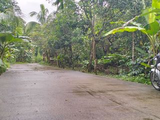 farm Lot with fruit bearings trees
