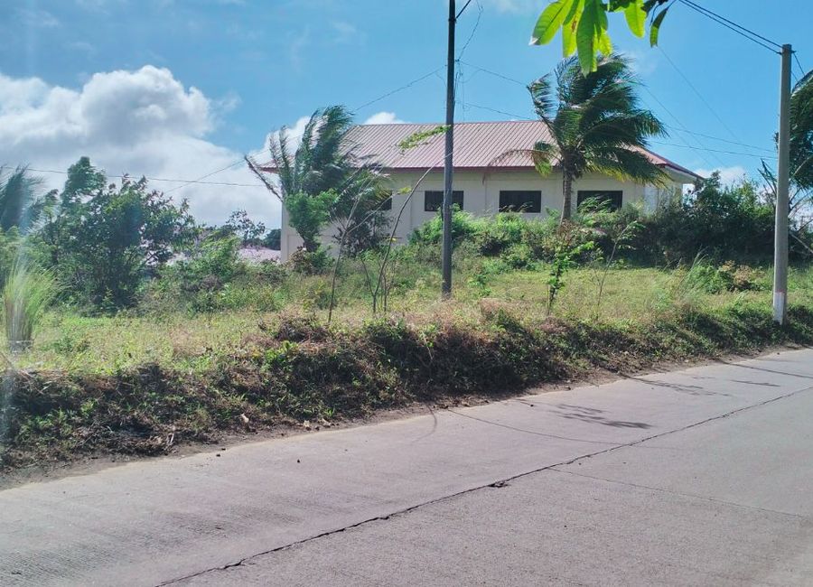 Residential Farm lot along provincial road