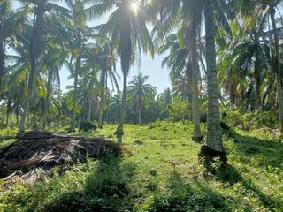 Lot for Sale at Ragay Camarines Sur Bicol near Andaya highway