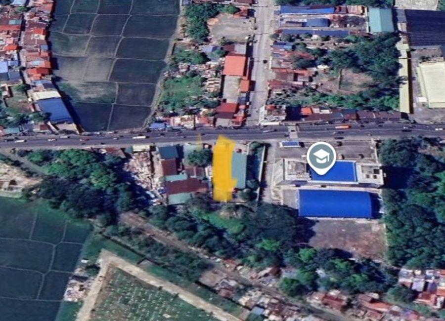 Commercial Lot For Sale Along Manila S road Crossing Calamba Laguna