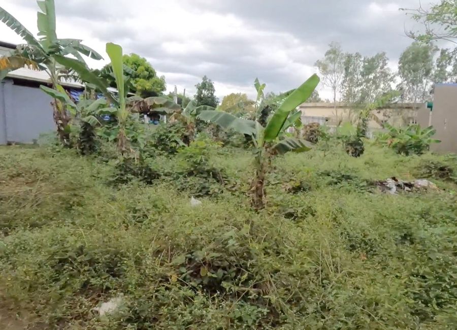 𝐋𝐎𝐓 𝐅𝐎𝐑 𝐒𝐀𝐋𝐄 | 𝐍𝐚𝐢𝐜, 𝐂𝐚𝐯𝐢𝐭𝐞 - 5,387 SQM 🌿