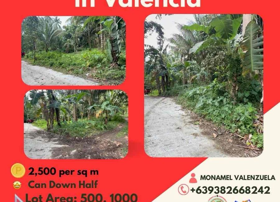 land for sale can be installment in Valencia