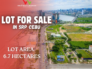 For Sale Prime Commercial Lot in SRP Cebu City