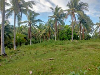 Farmlot with overlooking view of Beach for Sale at Ragay Camarines Sur Bicol