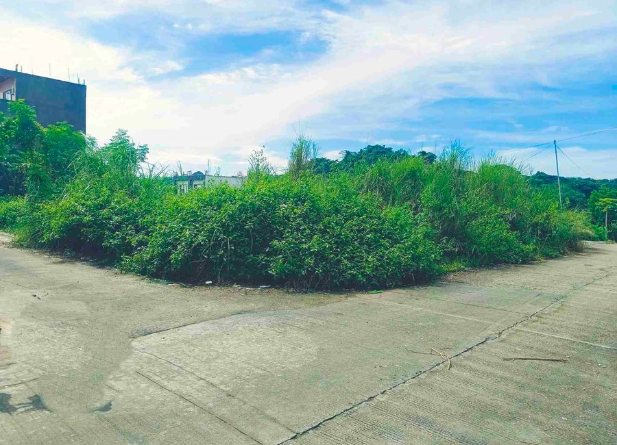 TITLED RESIDENTIAL LOT, 10 MINS DRIVE FROM SHOPWISE ANTIPOLO CITY