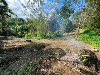 NEW INSTRUCTIONS - 500sqm Residential lots, Amadeo, Cavite. BEST PRICE P4.5k/sqm.