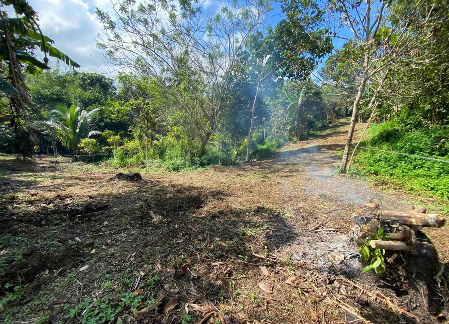 NEW INSTRUCTIONS - 500sqm Residential lots, Amadeo, Cavite. BEST PRICE P3.8k/sqm.