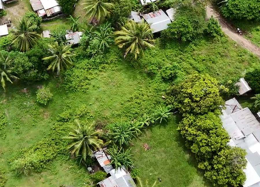 LOT FOR SALE IN DAUIN ID 15057