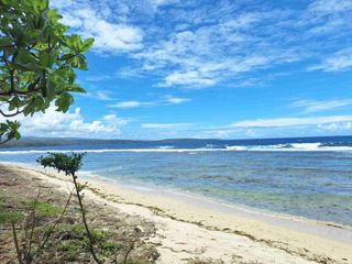 🌊 BEACHFRONT PROPERTY FOR SALE 12.5M — PRIME 2-HECTARE BEACHLINE!