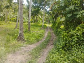 2 Hectares Land for Sale Laiya Playa San Juan Batangas