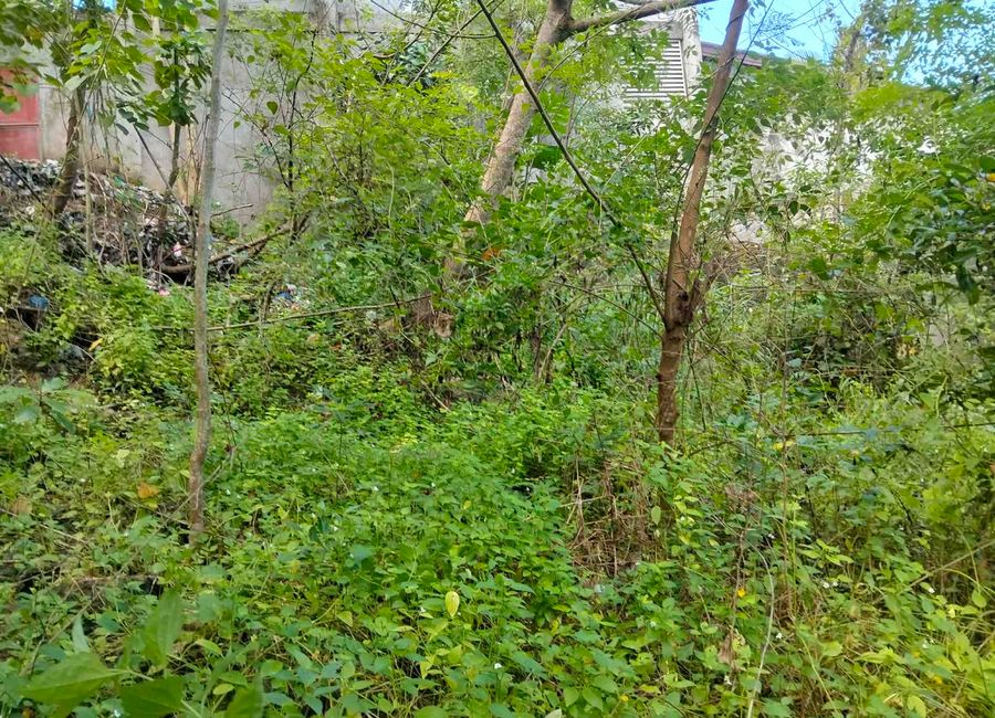 FOR SALE❗️Lot 850sqm-LOT FOR SALE IN COGON, TAGBILARAN CITY, BOHOL