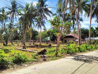 Lot For Sale in Anda Bohol walking distance from the beach