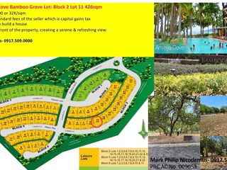 Residential Lot for sale in Anvaya Cove Morong Bataan- Rush Sale!!