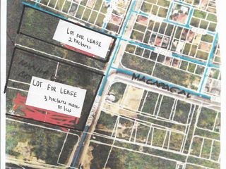 46,500 sqm Industrial Lot for Lease in Macapagal MOA, Paranaque