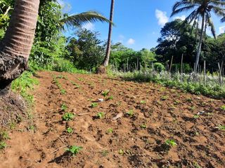 Lot for Sale in Calaca City Batangas